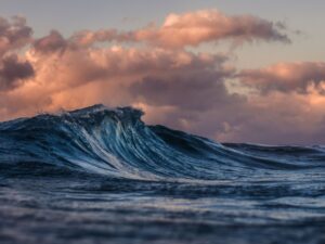 Parrainage familial : nouvelles procédures simplifiées